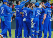 cricket